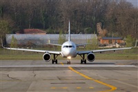 Rodrigo Carvalho - Noisy Spotters. Click to see full size photo
