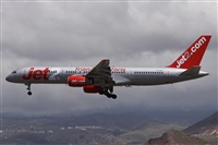 ©Alfonso Solís - Asociación Canary Islands Spotting. Click to see full size photo ©Alfonso Solís - Asociación Canary Islands Spotting. Click to see full size photo