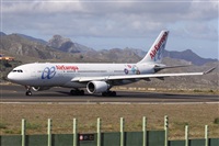 ©Alfonso Solís - Asociación Canary Islands Spotting. Click to see full size photo ©Alfonso Solís - Asociación Canary Islands Spotting. Click to see full size photo