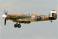 Tams. Click to see full size photo