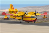 JF Alemn-GranCanariaSpotters. Click to see full size photo