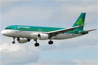 Rubn Gil - Noisy Spotters. Click to see full size photo
