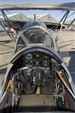 Ramon Jordi. Click to see full size photo