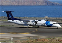 ©Alejandro H.L - Gran Canaria Spotters. Click to see full size photo ©Alejandro H.L - Gran Canaria Spotters. Click to see full size photo
