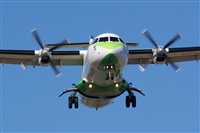 Saimon J Rodriguez   -   Canary Islands Spotting. Click to see full size photo