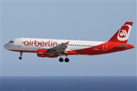 ©Alfonso Solís - Asociación Canary Islands Spotting. Click to see full size photo ©Alfonso Solís - Asociación Canary Islands Spotting. Click to see full size photo