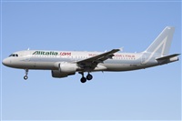 Miguel Alia - Noisy Spotters. Click to see full size photo