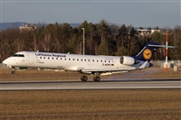 ©Miguel Alia - Noisy Spotters. Click to see full size photo