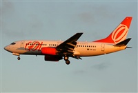 Fabio Duarte - Manaus Spotting Team. Click to see full size photo