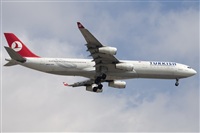 Miguel Alia - Noisy Spotters. Click to see full size photo