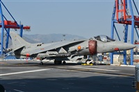 Salvador  de la Rubia  ( Marbella Spotters ). Click to see full size photo