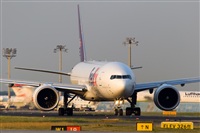 Javier de la Cruz - CANARY ISLANDS SPOTTING. Click to see full size photo