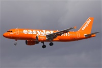©Alfonso Solís - Asociación Canary Islands Spotting. Click to see full size photo ©Alfonso Solís - Asociación Canary Islands Spotting. Click to see full size photo