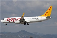 Miguel Alia - Noisy Spotters. Click to see full size photo