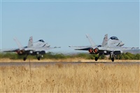 Rodrigo Carvalho - Noisy Spotters. Click to see full size photo