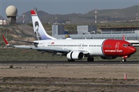 ©Alfonso Solís - Asociación Canary Islands Spotting. Click to see full size photo ©Alfonso Solís - Asociación Canary Islands Spotting. Click to see full size photo