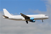 Miguel A. gueda Rguez.  (CANARY ISLANDS SPOTTING). Haz click para ampliar