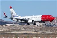 Javier de la Cruz - CANARY ISLANDS SPOTTING. Click to see full size photo