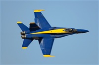 Ana L@dy Spotter. Click to see full size photo