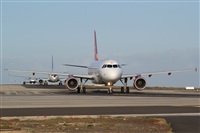 Saimon J Rodriguez   -   Canary Islands Spotting. Click to see full size photo