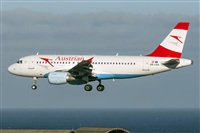 ©Adolfo Bento - Gran Canaria Spotters. Click to see full size photo ©Adolfo Bento - Gran Canaria Spotters. Click to see full size photo