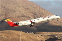 Adrin Alonso Lemes - Lanzarote Spotters. Click to see full size photo