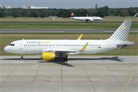 ©Alfonso Solís - Asociación Canary Islands Spotting. Click to see full size photo ©Alfonso Solís - Asociación Canary Islands Spotting. Click to see full size photo
