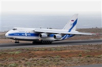 Miguel A. gueda Rguez.  (CANARY ISLANDS SPOTTING). Click to see full size photo
