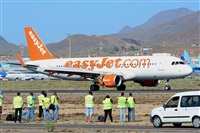 Miguel A. gueda Rguez.  (CANARY ISLANDS SPOTTING). Click to see full size photo