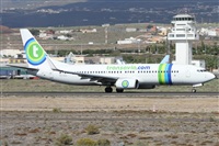 ©Alfonso Solís - Asociación Canary Islands Spotting. Click to see full size photo ©Alfonso Solís - Asociación Canary Islands Spotting. Click to see full size photo