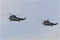 Fco Javier Garca Ruiz. Click to see full size photo