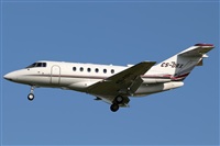 David Bracci - Tuscan Aviation. Haz click para ampliar