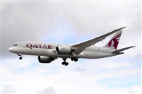 Miguel A. gueda Rguez.  (CANARY ISLANDS SPOTTING). Click to see full size photo