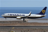 ©Alfonso Solís - Asociación Canary Islands Spotting. Click to see full size photo ©Alfonso Solís - Asociación Canary Islands Spotting. Click to see full size photo