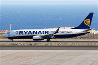 Nacho Rodriguez - Canary Islands Spotting. Click to see full size photo