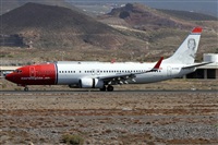 ©Alfonso Solís - Asociación Canary Islands Spotting. Click to see full size photo ©Alfonso Solís - Asociación Canary Islands Spotting. Click to see full size photo