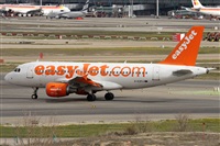 Alfonso Sols - Asociacin Canary Islands Spotting. Haz click para ampliar