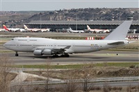 ©Alfonso Solís - Asociación Canary Islands Spotting. Click to see full size photo ©Alfonso Solís - Asociación Canary Islands Spotting. Click to see full size photo