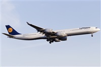 Rubn Gil - Noisy Spotters. Click to see full size photo