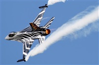 La Roche Spotters. Click to see full size photo