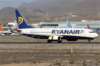 ©Alfonso Solís - Asociación Canary Islands Spotting. Click to see full size photo ©Alfonso Solís - Asociación Canary Islands Spotting. Click to see full size photo