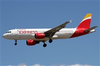 ©Alfonso Solís - Asociación Canary Islands Spotting. Click to see full size photo ©Alfonso Solís - Asociación Canary Islands Spotting. Click to see full size photo