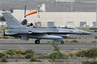 Alfonso Sols - Asociacin Canary Islands Spotting. Click to see full size photo
