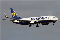 Alfonso Sols - Asociacin Canary Islands Spotting. Click to see full size photo