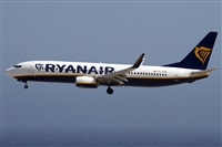 Alfonso Sols - Asociacin Canary Islands Spotting. Haz click para ampliar