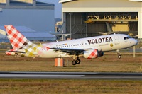 Miguel A. gueda Rguez.  (CANARY ISLANDS SPOTTING). Haz click para ampliar