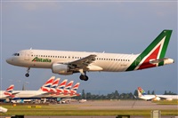 Miguel A. gueda Rguez.  (CANARY ISLANDS SPOTTING). Click to see full size photo