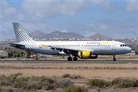 ©Luis Rguez - La Palma Spotting. Click to see full size photo ©Luis Rguez - La Palma Spotting. Click to see full size photo