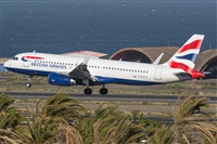 Adolfo Bento - Gran Canaria Spotters. Haz click para ampliar