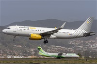 ©Daniel Santos Batista - Canary Islands Spotting. Click to see full size photo ©Daniel Santos Batista - Canary Islands Spotting. Click to see full size photo